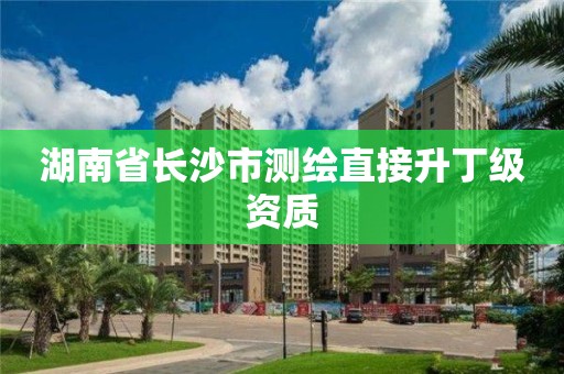 湖南省長沙市測繪直接升丁級資質(zhì)