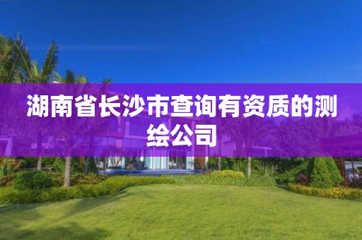 湖南省長沙市查詢有資質(zhì)的測繪公司