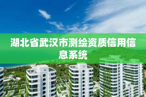 湖北省武漢市測(cè)繪資質(zhì)信用信息系統(tǒng)