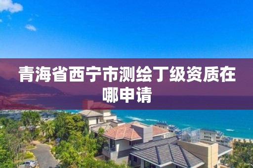 青海省西寧市測繪丁級資質在哪申請