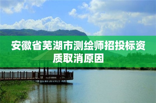 安徽省蕪湖市測(cè)繪師招投標(biāo)資質(zhì)取消原因