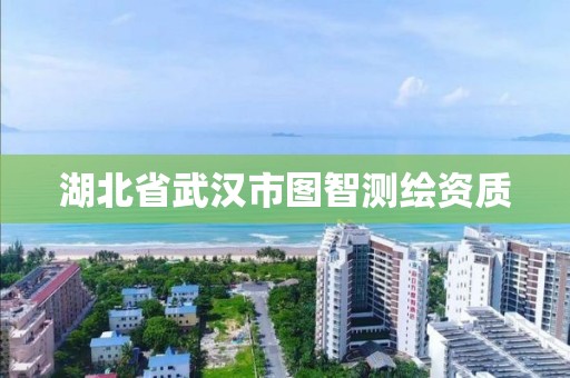 湖北省武漢市圖智測繪資質