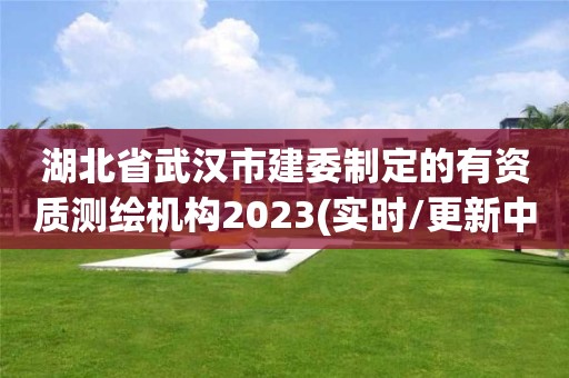 湖北省武漢市建委制定的有資質測繪機構2023(實時/更新中)