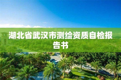 湖北省武漢市測(cè)繪資質(zhì)自檢報(bào)告書