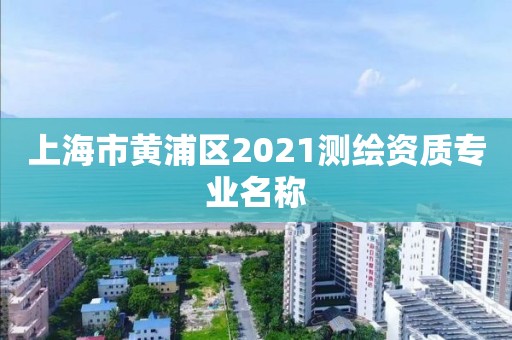 上海市黃浦區2021測繪資質專業名稱