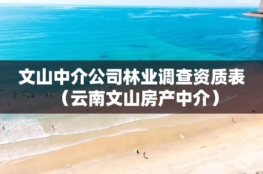 文山中介公司林業調查資質表（云南文山房產中介）