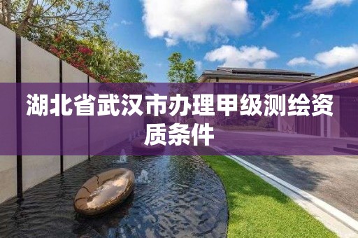 湖北省武漢市辦理甲級測繪資質條件