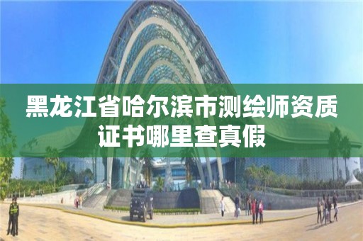 黑龍江省哈爾濱市測繪師資質證書哪里查真假