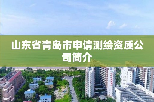 山東省青島市申請測繪資質公司簡介