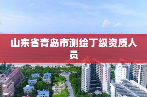 山東省青島市測繪丁級資質(zhì)人員