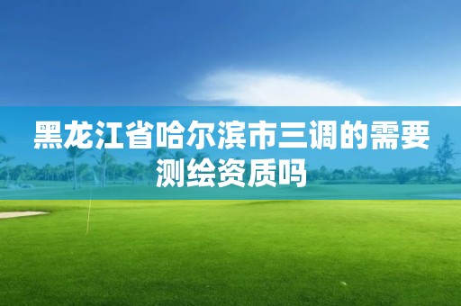 黑龍江省哈爾濱市三調(diào)的需要測(cè)繪資質(zhì)嗎