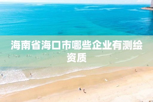 海南省海口市哪些企業有測繪資質