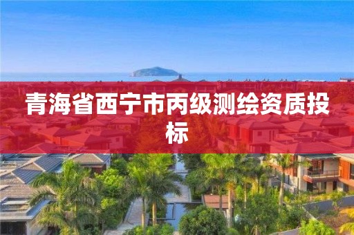 青海省西寧市丙級(jí)測(cè)繪資質(zhì)投標(biāo)