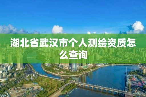 湖北省武漢市個人測繪資質怎么查詢