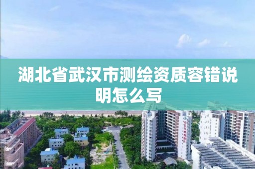 湖北省武漢市測繪資質容錯說明怎么寫