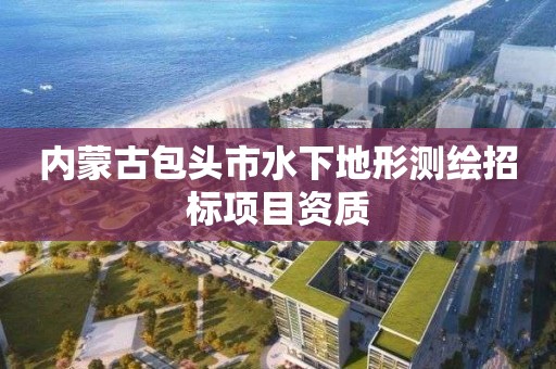 內蒙古包頭市水下地形測繪招標項目資質