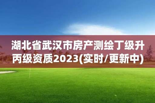 湖北省武漢市房產測繪丁級升丙級資質2023(實時/更新中)