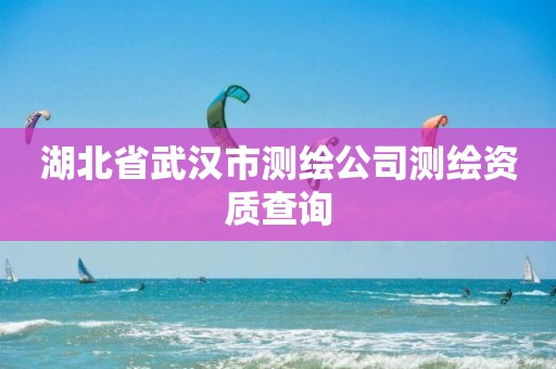 湖北省武漢市測繪公司測繪資質查詢