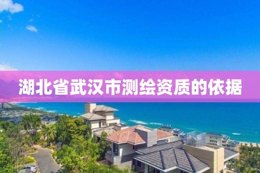 湖北省武漢市測繪資質的依據