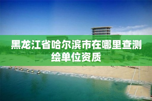 黑龍江省哈爾濱市在哪里查測繪單位資質(zhì)