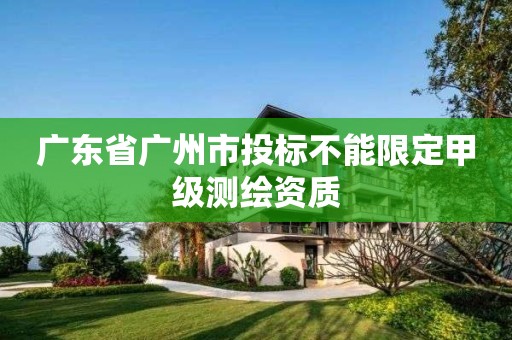 廣東省廣州市投標不能限定甲級測繪資質