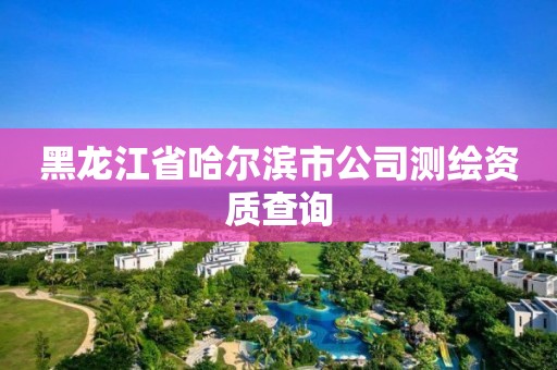 黑龍江省哈爾濱市公司測繪資質查詢