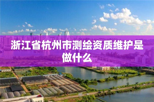 浙江省杭州市測繪資質維護是做什么