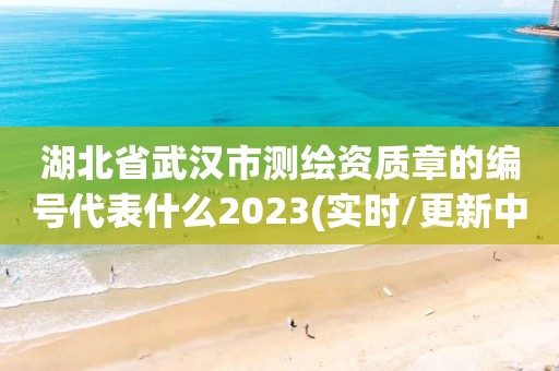 湖北省武漢市測繪資質章的編號代表什么2023(實時/更新中)