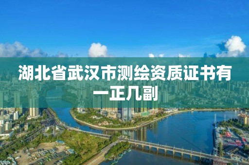 湖北省武漢市測繪資質證書有一正幾副