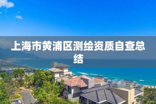 上海市黃浦區測繪資質自查總結