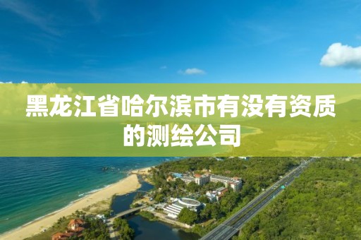 黑龍江省哈爾濱市有沒(méi)有資質(zhì)的測(cè)繪公司