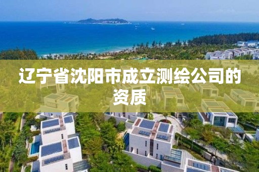 遼寧省沈陽市成立測繪公司的資質