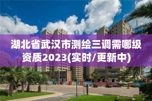 湖北省武漢市測繪三調需哪級資質2023(實時/更新中)