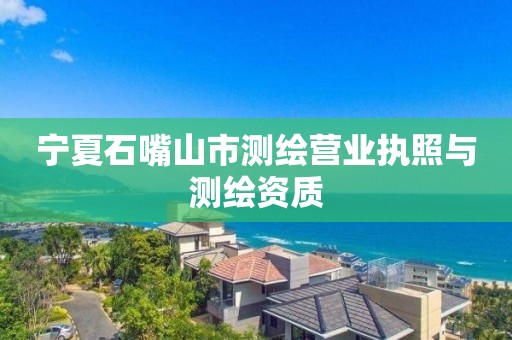 寧夏石嘴山市測繪營業執照與測繪資質