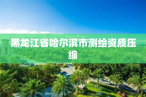 黑龍江省哈爾濱市測繪資質壓縮