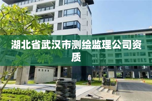 湖北省武漢市測繪監(jiān)理公司資質(zhì)