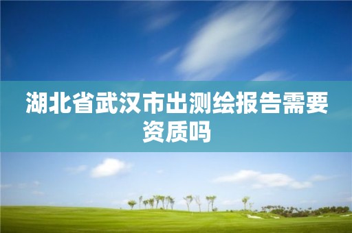 湖北省武漢市出測繪報告需要資質嗎