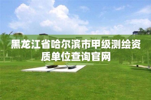 黑龍江省哈爾濱市甲級測繪資質單位查詢官網