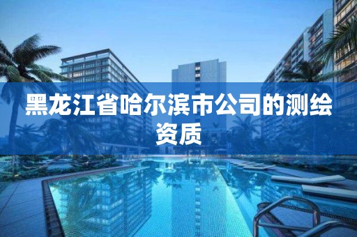 黑龍江省哈爾濱市公司的測(cè)繪資質(zhì)