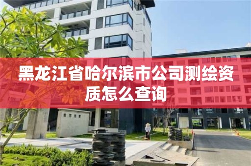 黑龍江省哈爾濱市公司測繪資質怎么查詢