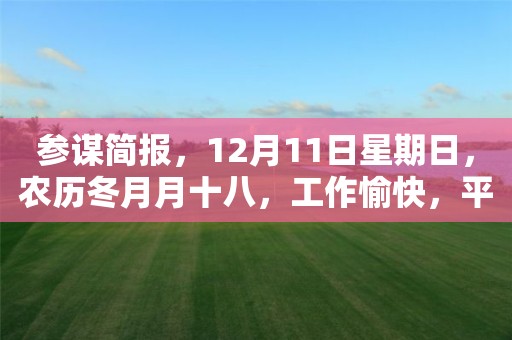 參謀簡報，12月11日星期日，農歷冬月月十八，工作愉快，平安喜樂