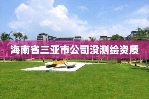 海南省三亞市公司沒測繪資質