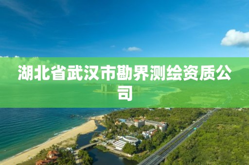 湖北省武漢市勘界測繪資質公司