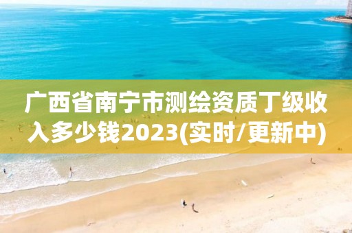 廣西省南寧市測繪資質丁級收入多少錢2023(實時/更新中)