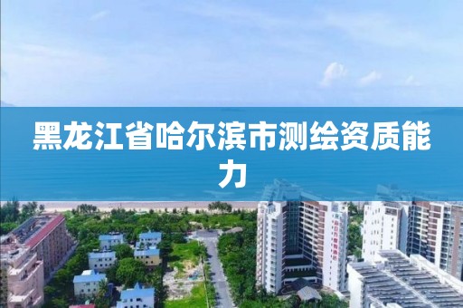 黑龍江省哈爾濱市測繪資質能力