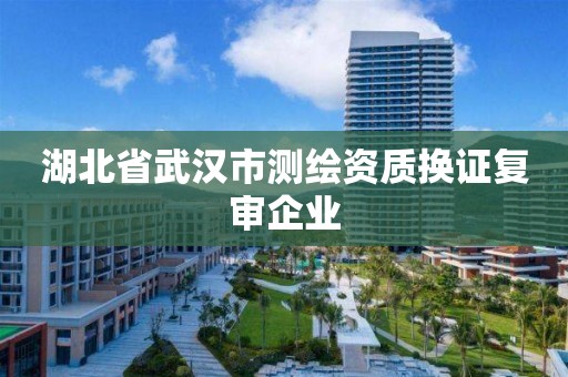 湖北省武漢市測繪資質換證復審企業