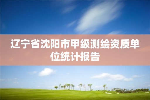 遼寧省沈陽市甲級測繪資質單位統計報告