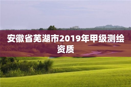 安徽省蕪湖市2019年甲級(jí)測(cè)繪資質(zhì)