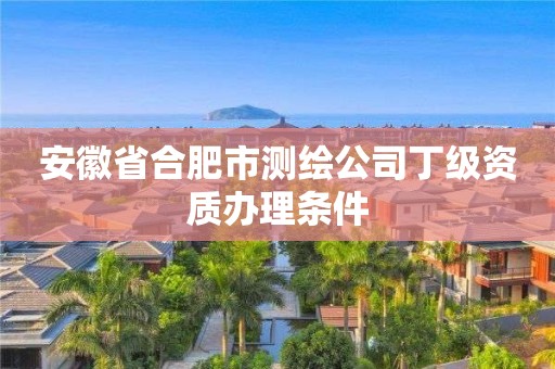 安徽省合肥市測繪公司丁級(jí)資質(zhì)辦理?xiàng)l件