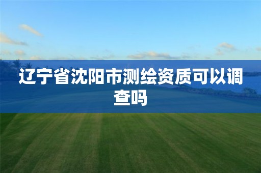 遼寧省沈陽市測繪資質可以調查嗎